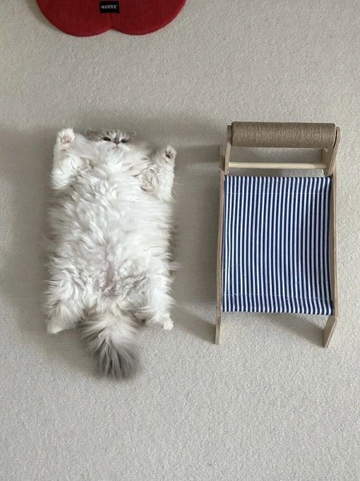 사이즈에 딱 맞는 침대를 찾았다_1.webp