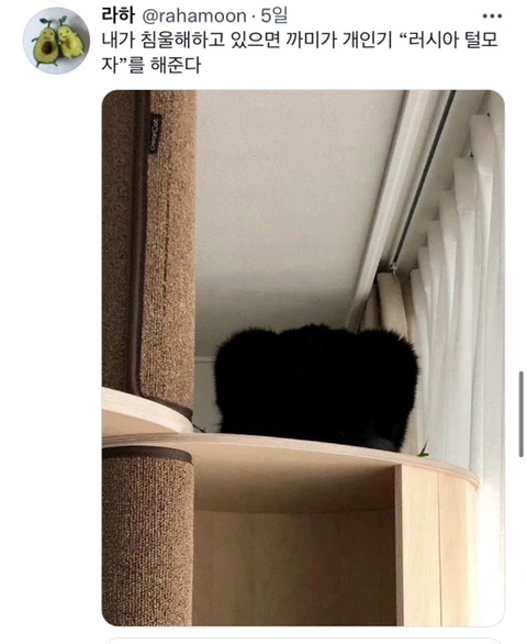 우울증이 있는 사람들이 반려동물을 키워야 하는 이유_8.webp