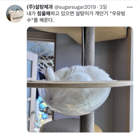 우울증이 있는 사람들이 반려동물을 키워야 하는 이유_9.webp