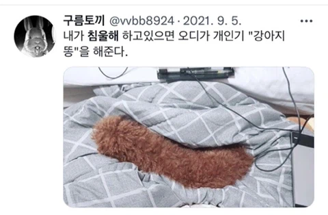 우울증이 있는 사람들이 반려동물을 키워야 하는 이유_10.webp