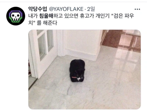 우울증이 있는 사람들이 반려동물을 키워야 하는 이유_11.webp