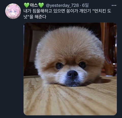 우울증이 있는 사람들이 반려동물을 키워야 하는 이유_12.webp