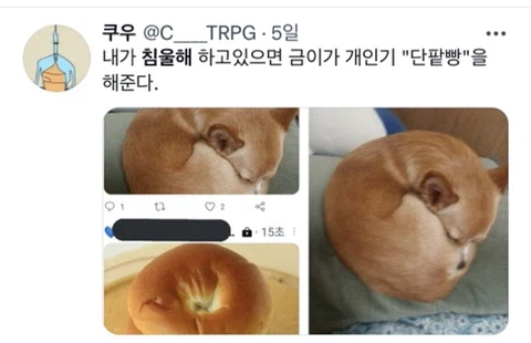 우울증이 있는 사람들이 반려동물을 키워야 하는 이유_13.webp