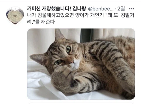 우울증이 있는 사람들이 반려동물을 키워야 하는 이유_17.webp