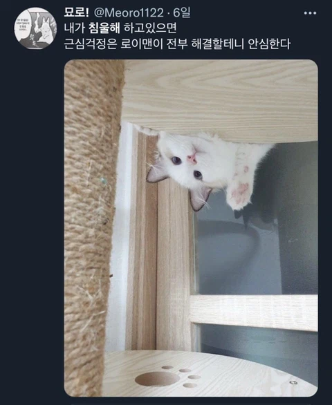 우울증이 있는 사람들이 반려동물을 키워야 하는 이유_23.webp