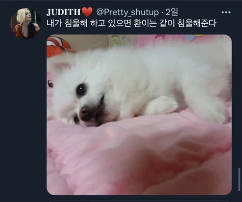 우울증이 있는 사람들이 반려동물을 키워야 하는 이유_26.webp