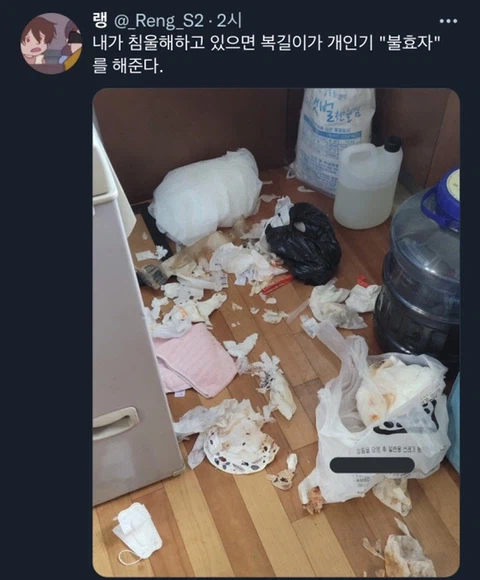 우울증이 있는 사람들이 반려동물을 키워야 하는 이유_27.webp