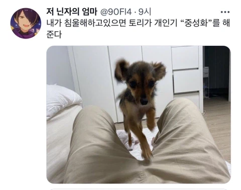 우울증이 있는 사람들이 반려동물을 키워야 하는 이유_29.webp