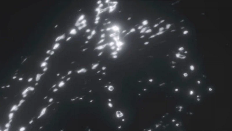 골든카무이 실사드라마의 원작 고증 묘사_10.webp