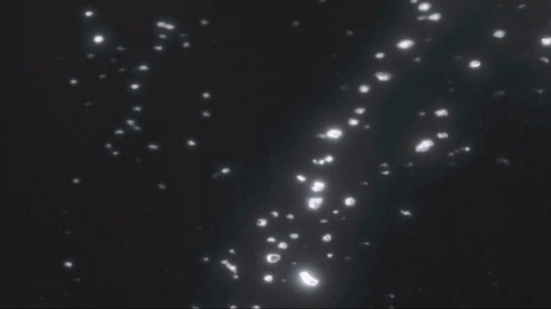 골든카무이 실사드라마의 원작 고증 묘사_11.webp