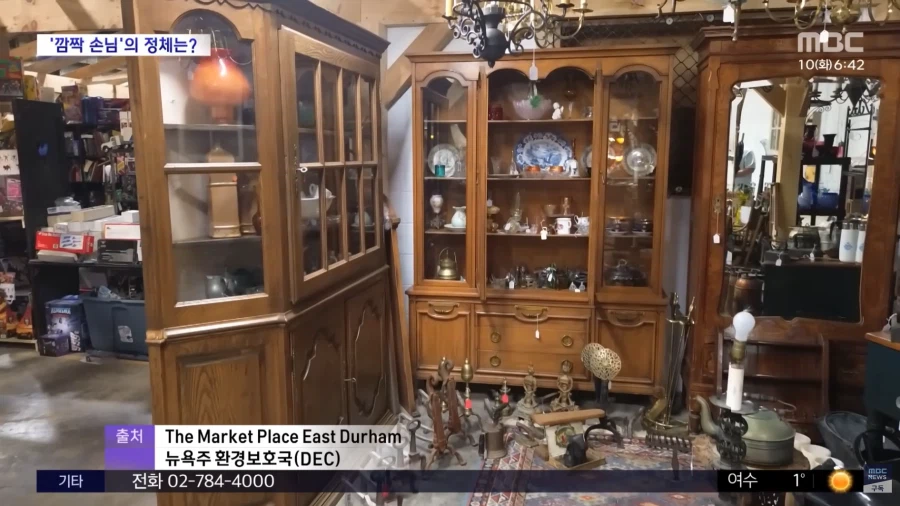 이 부엉이 인형 진짜 같다._1.webp