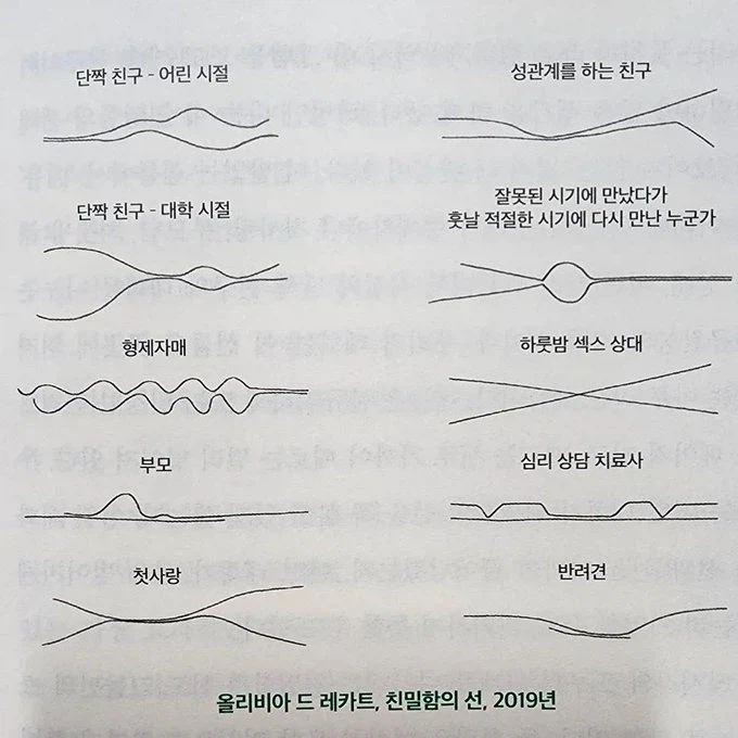 질주름의 형태_1.webp