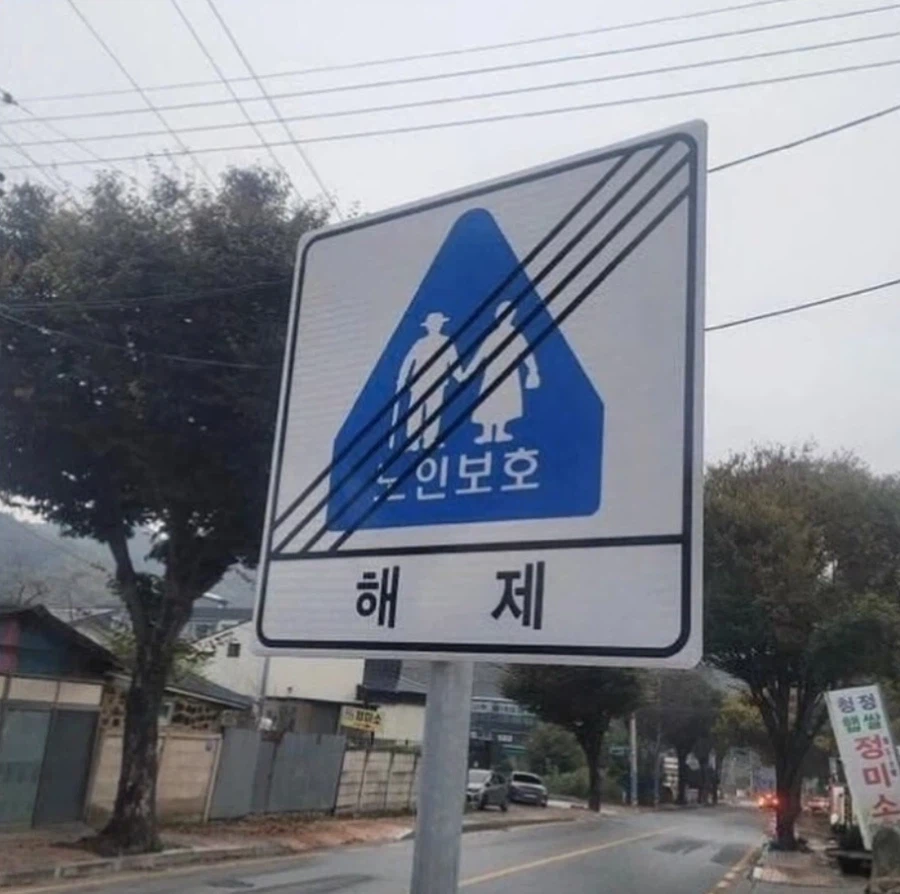 노인을 위한 도로는 없다._1.webp