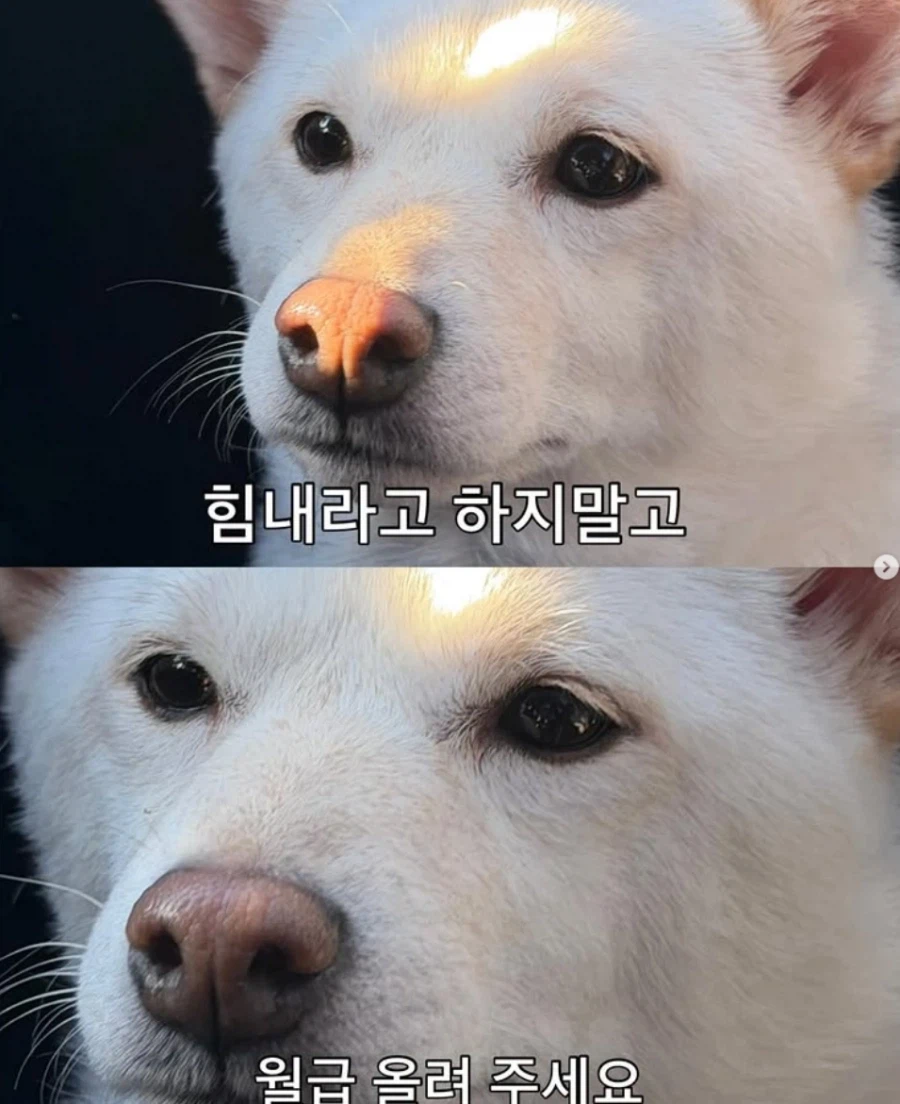 힘내라고 하지 마세요._1.webp