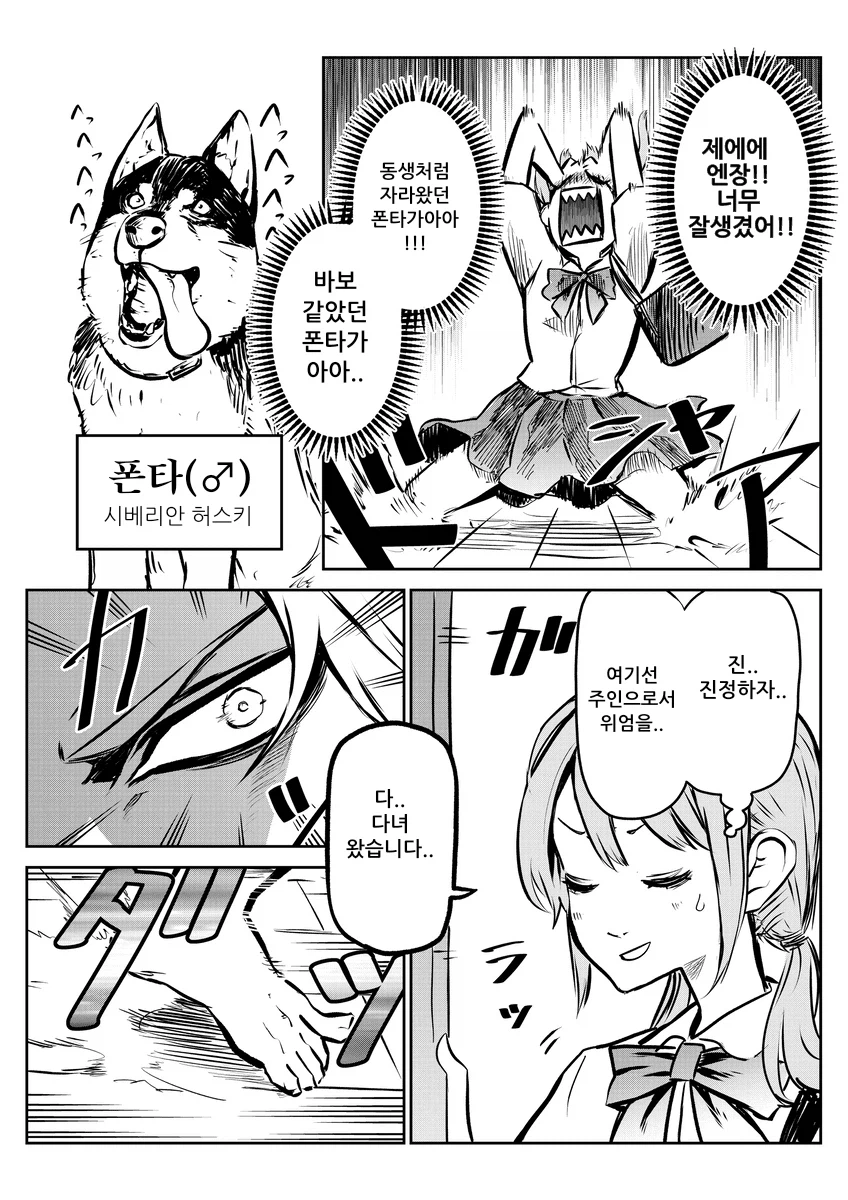 키우던 개가 사람이 되었다_4.webp