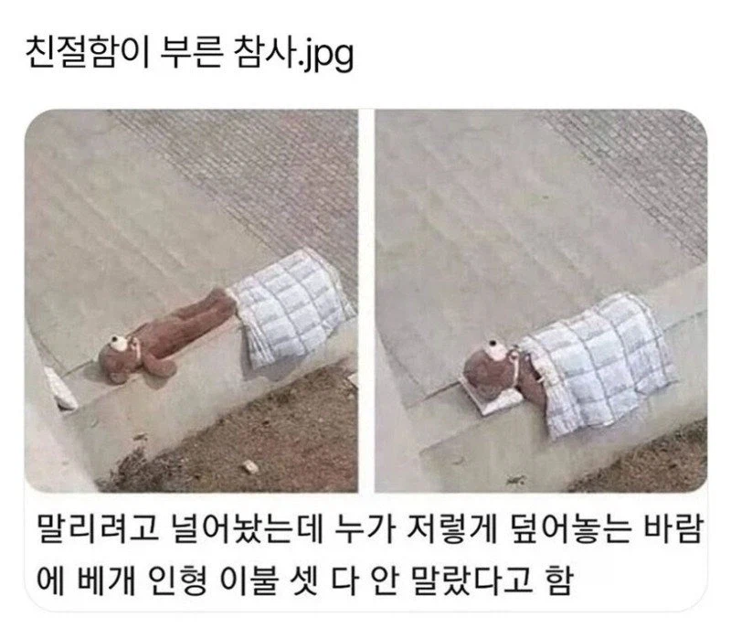 친절함이 부른 참사_1.webp