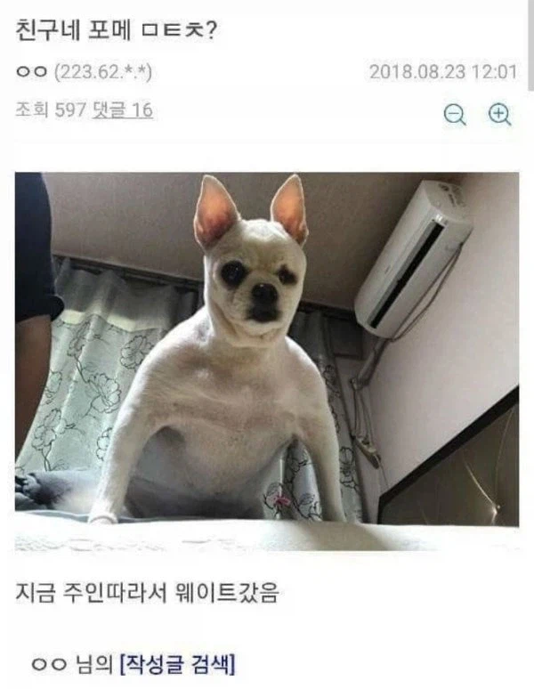 근수저 강아지.jpg_1.webp