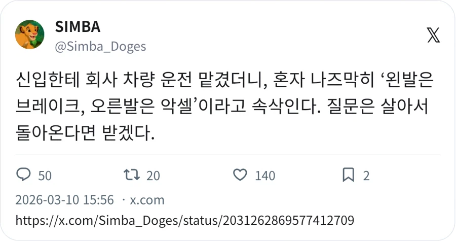 왼발은 엑셀, 오른발은 악셀_1.webp