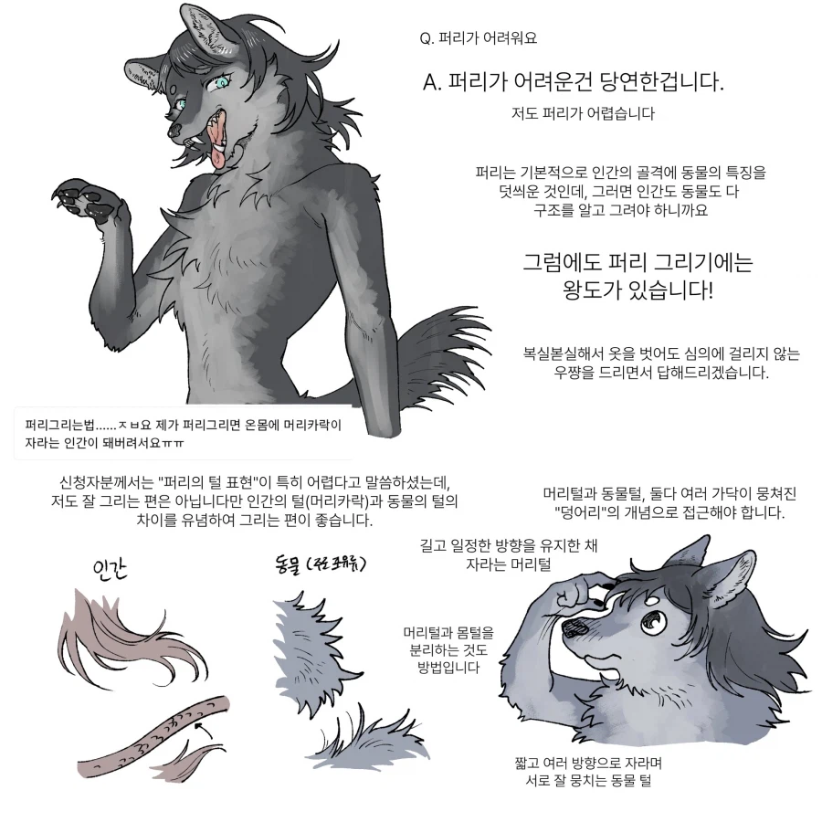 퍼리 그리는 방법_1.webp