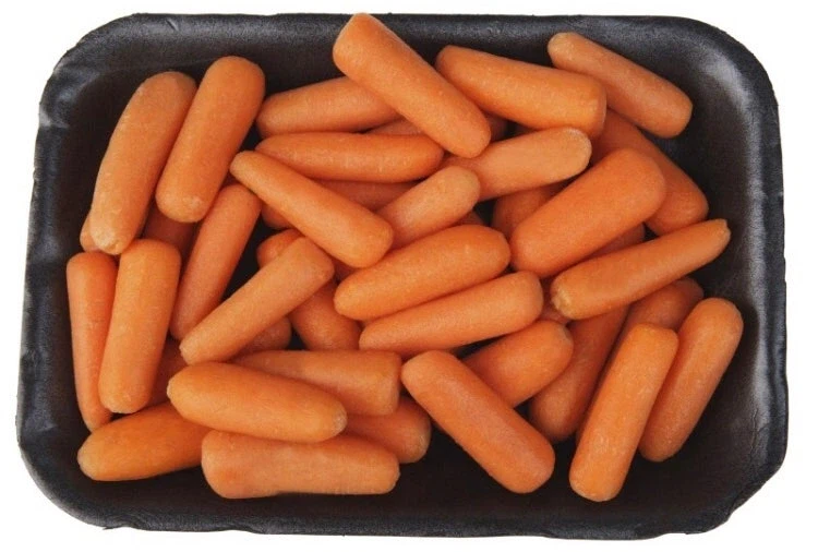 미니당근의 비밀_1.webp