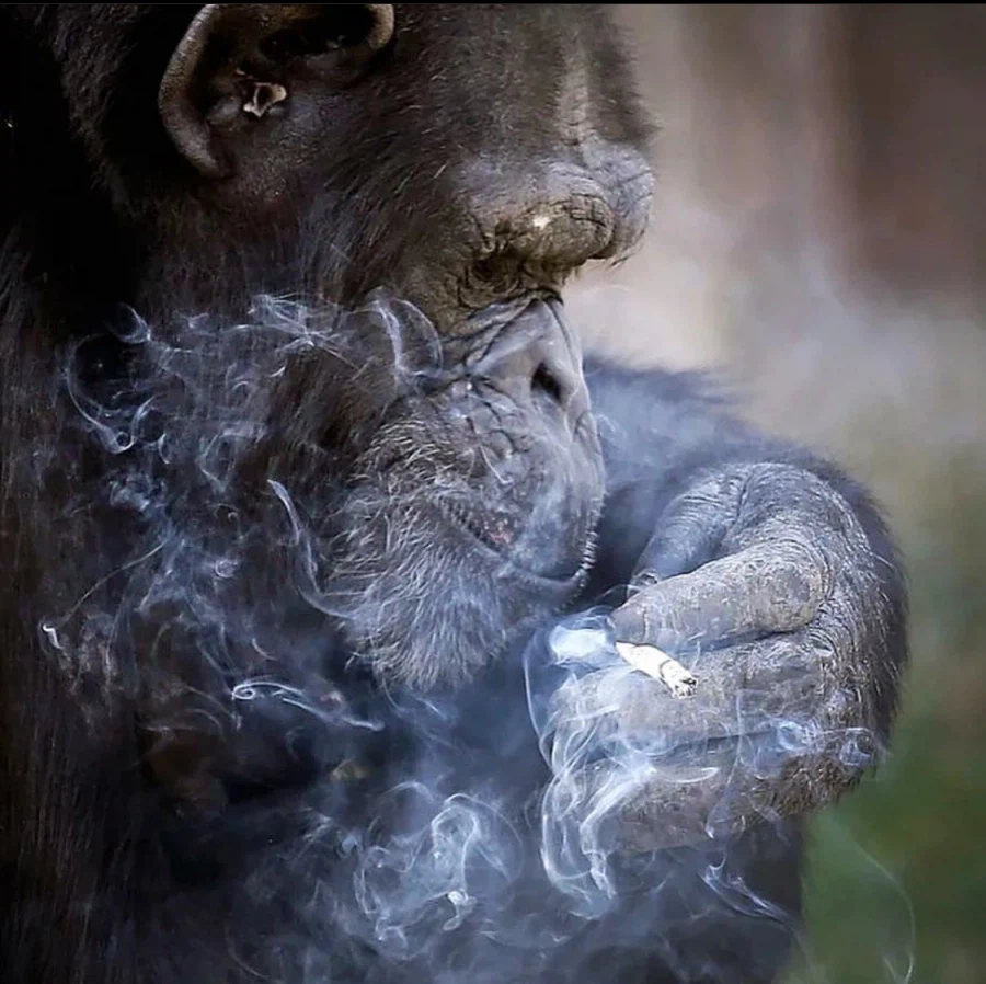 더 보이즈) 옛날에 말했다면 절대 못 믿었을 미래_5.webp