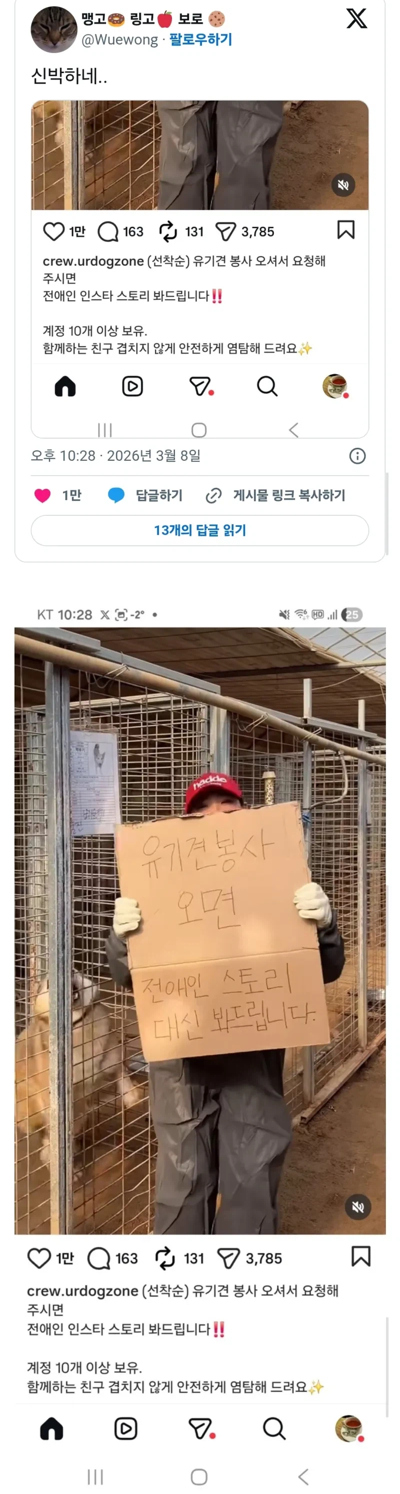 유기견 보호소에 봉사 가면 받는 혜택_1.webp