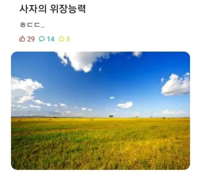 사자의 위장능력_1.webp