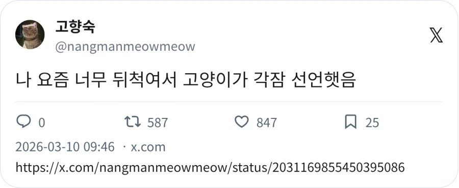 고양이한테 손절당함_1.webp