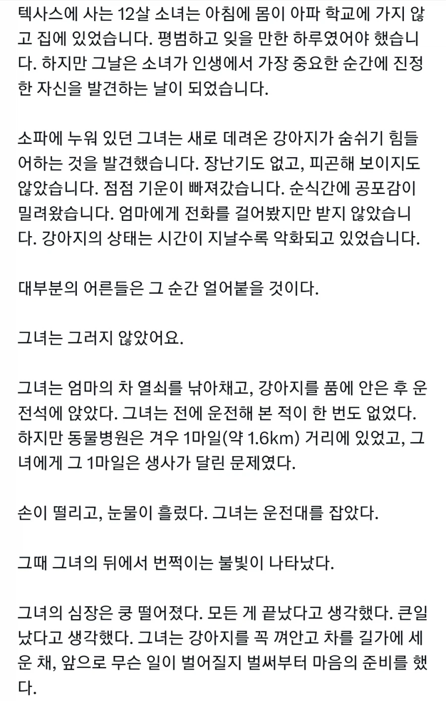 반려견을 구하기 위해 운전대를 잡은 12살 소녀_1.webp