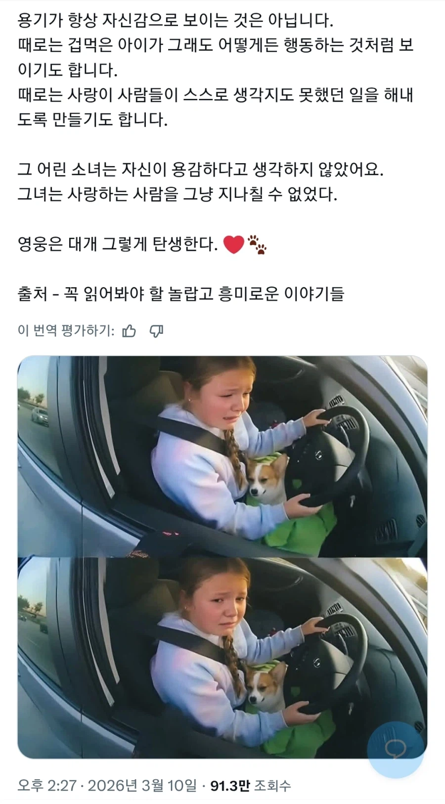 반려견을 구하기 위해 운전대를 잡은 12살 소녀_3.webp