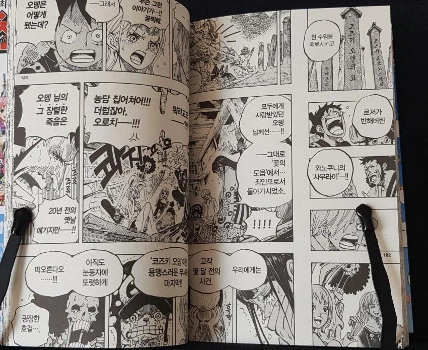 원피스를 재미있게 보는 최고의 방법_3.webp