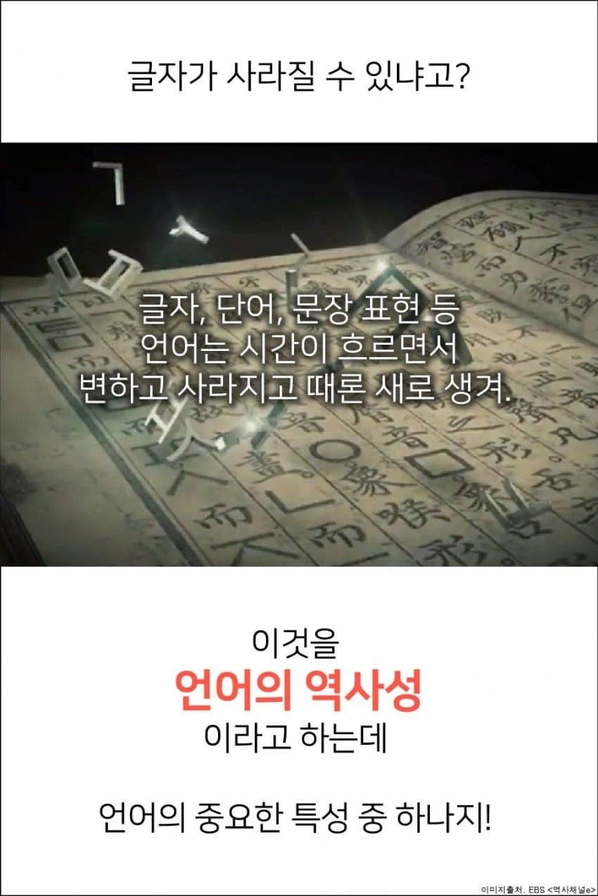 세종대왕님이 만들었지만 사라져서 아쉬운 글자.jpg_3.webp