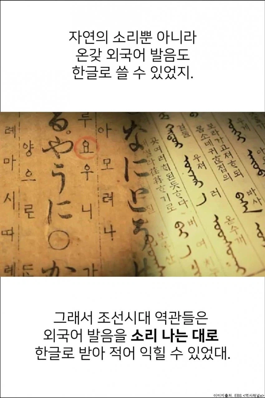 세종대왕님이 만들었지만 사라져서 아쉬운 글자.jpg_6.webp