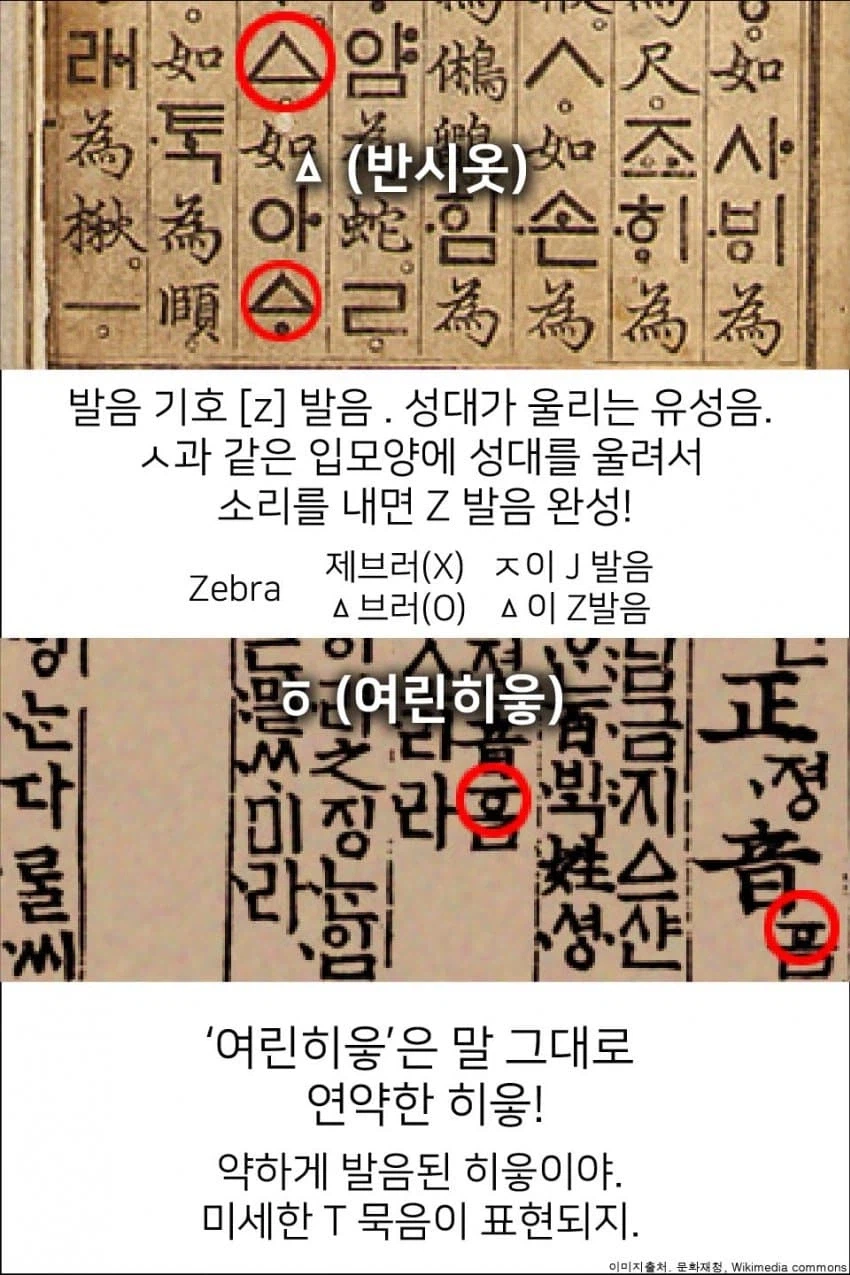 세종대왕님이 만들었지만 사라져서 아쉬운 글자.jpg_8.webp