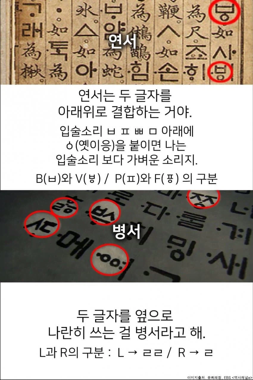 세종대왕님이 만들었지만 사라져서 아쉬운 글자.jpg_9.webp