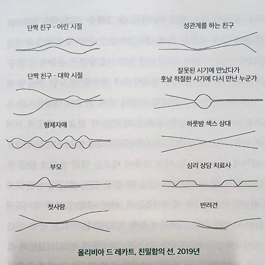 친밀함의 선과.jpg_1.webp