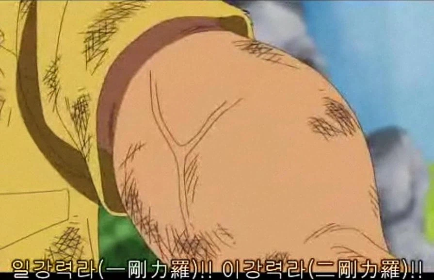 원피스. 조로의 벌크 봉인해제_2.webp