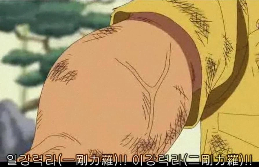 원피스. 조로의 벌크 봉인해제_3.webp