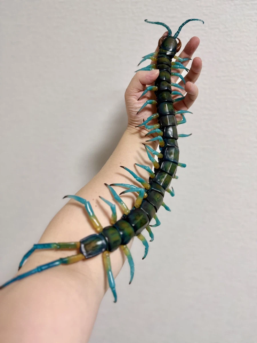 의외로 사람들이 무서워하는 장난감.jpg_2.webp