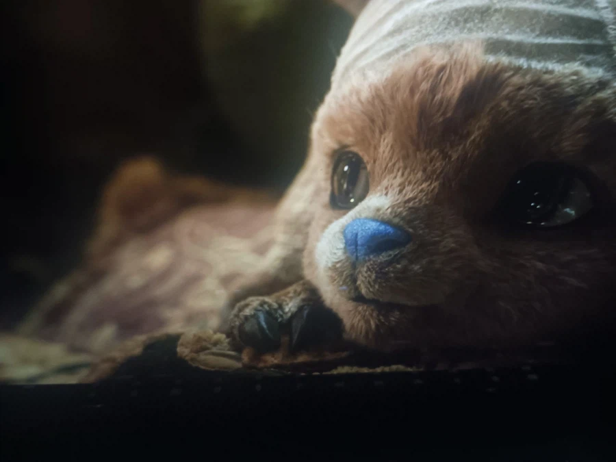 실사화 원피스 쵸파가 설정고증은 잘된듯_1.webp