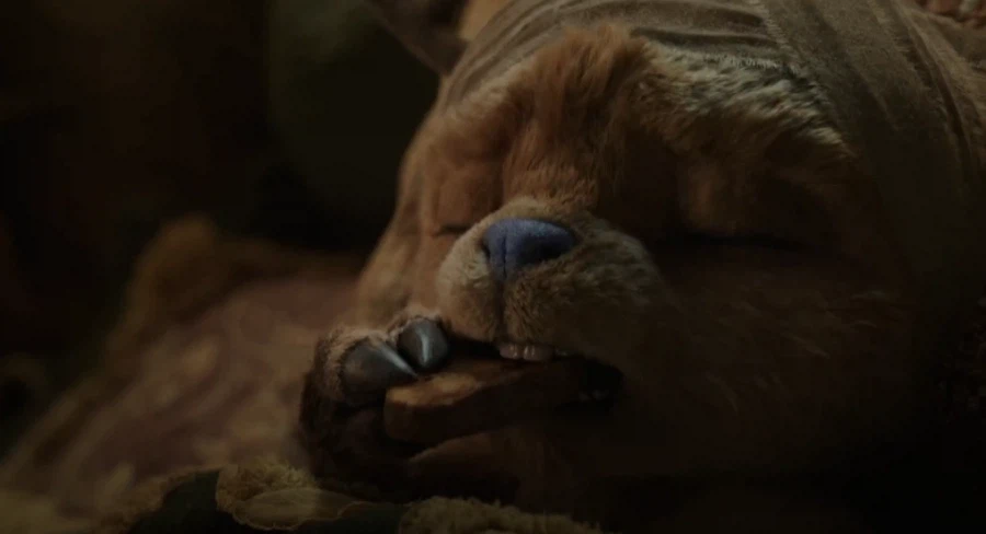 실사화 원피스 쵸파가 설정고증은 잘된듯_4.webp