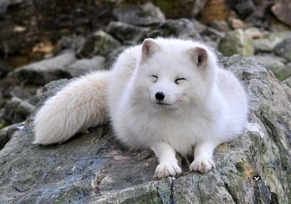 ㅈㅌㅍㅇ 보다 훨씬 좋은거 보고 갈래?_1.webp