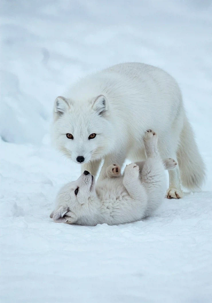 ㅈㅌㅍㅇ 보다 훨씬 좋은거 보고 갈래?_5.webp
