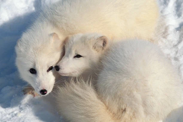 ㅈㅌㅍㅇ 보다 훨씬 좋은거 보고 갈래?_7.webp