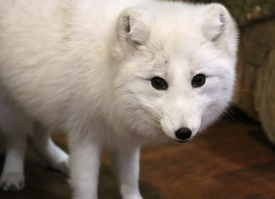 ㅈㅌㅍㅇ 보다 훨씬 좋은거 보고 갈래?_8.webp