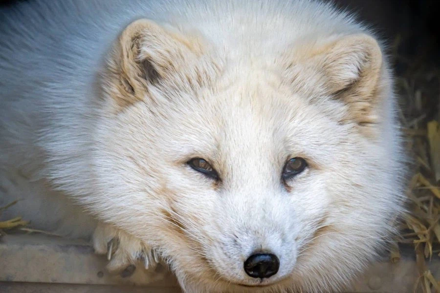 ㅈㅌㅍㅇ 보다 훨씬 좋은거 보고 갈래?_9.webp