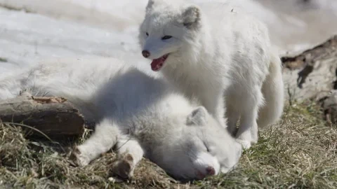 ㅈㅌㅍㅇ 보다 훨씬 좋은거 보고 갈래?_10.webp