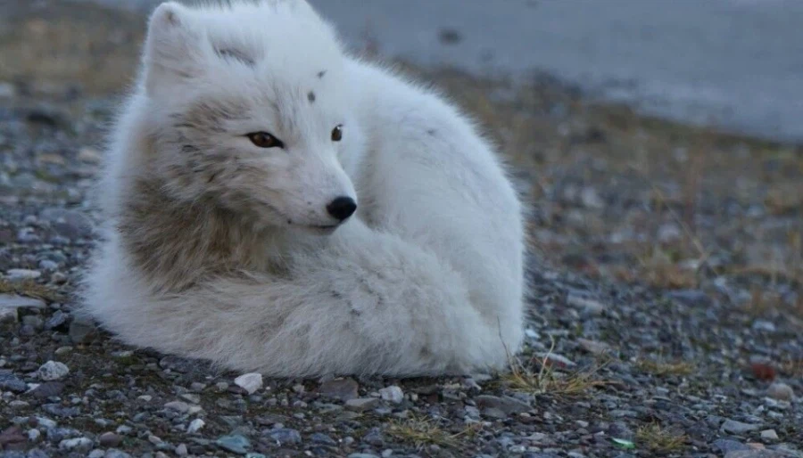 ㅈㅌㅍㅇ 보다 훨씬 좋은거 보고 갈래?_13.webp