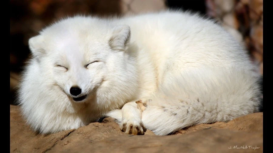 ㅈㅌㅍㅇ 보다 훨씬 좋은거 보고 갈래?_14.webp