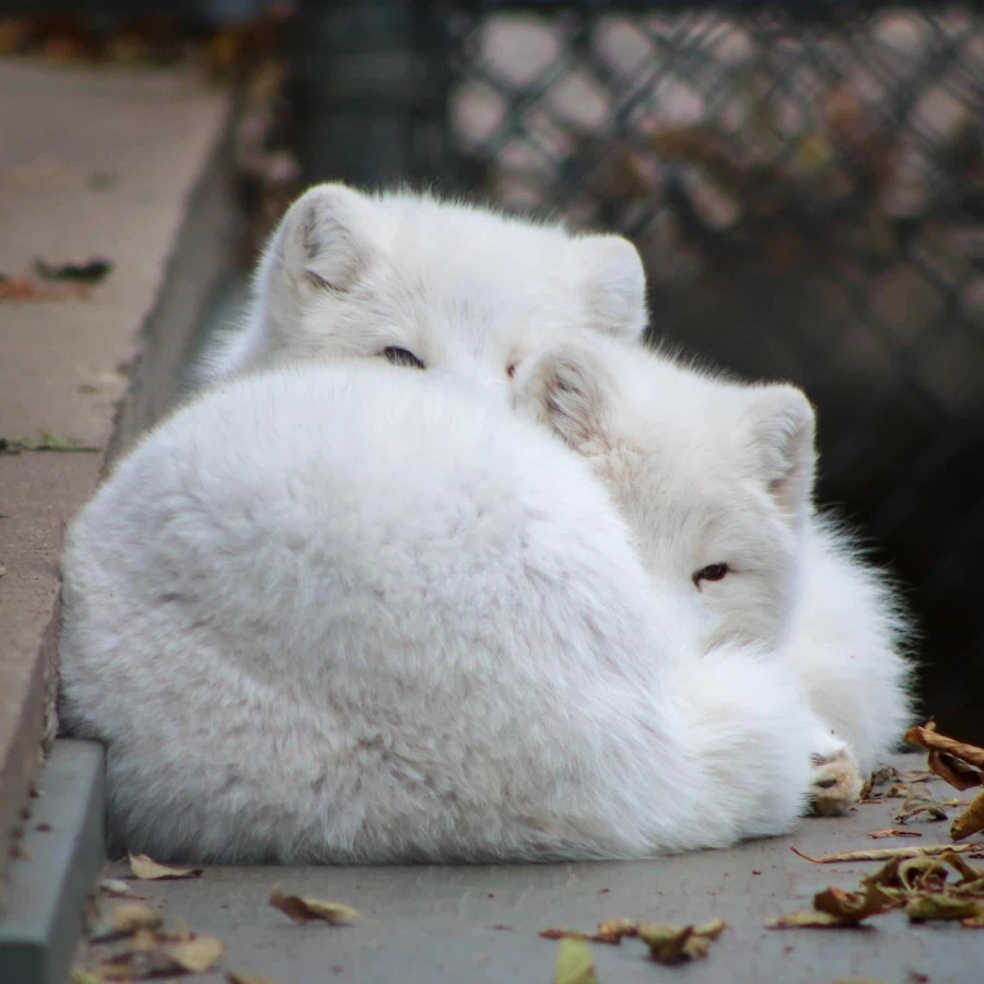 ㅈㅌㅍㅇ 보다 훨씬 좋은거 보고 갈래?_15.webp